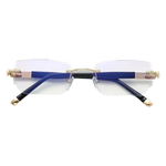 Vision Pro®