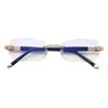Vision Pro®