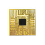 Neuro Shield