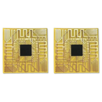 Neuro Shield