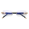 Vision Pro